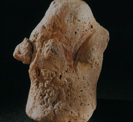 storia naturale