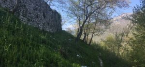 montereale