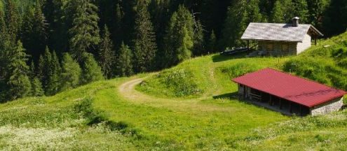 forni di sotto